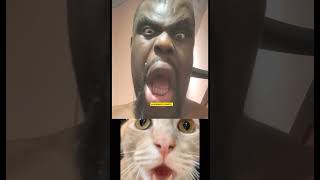 What do you call that 🤔  #africavsfood #Luminously #viralpost #foody #foodUK #food