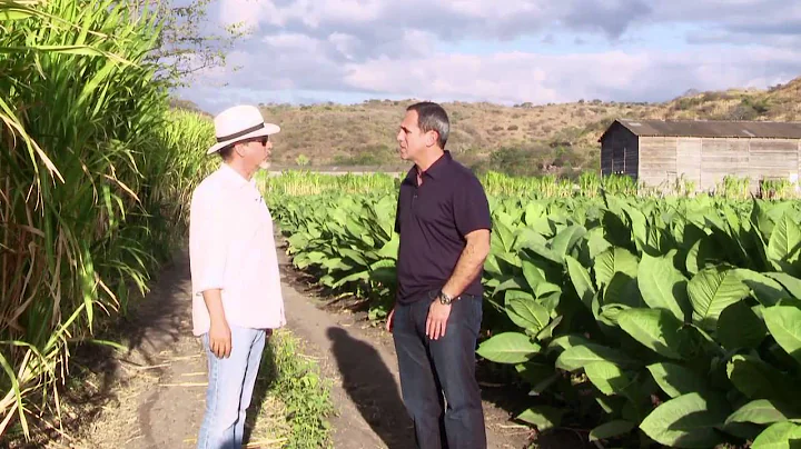 Padron Cigars