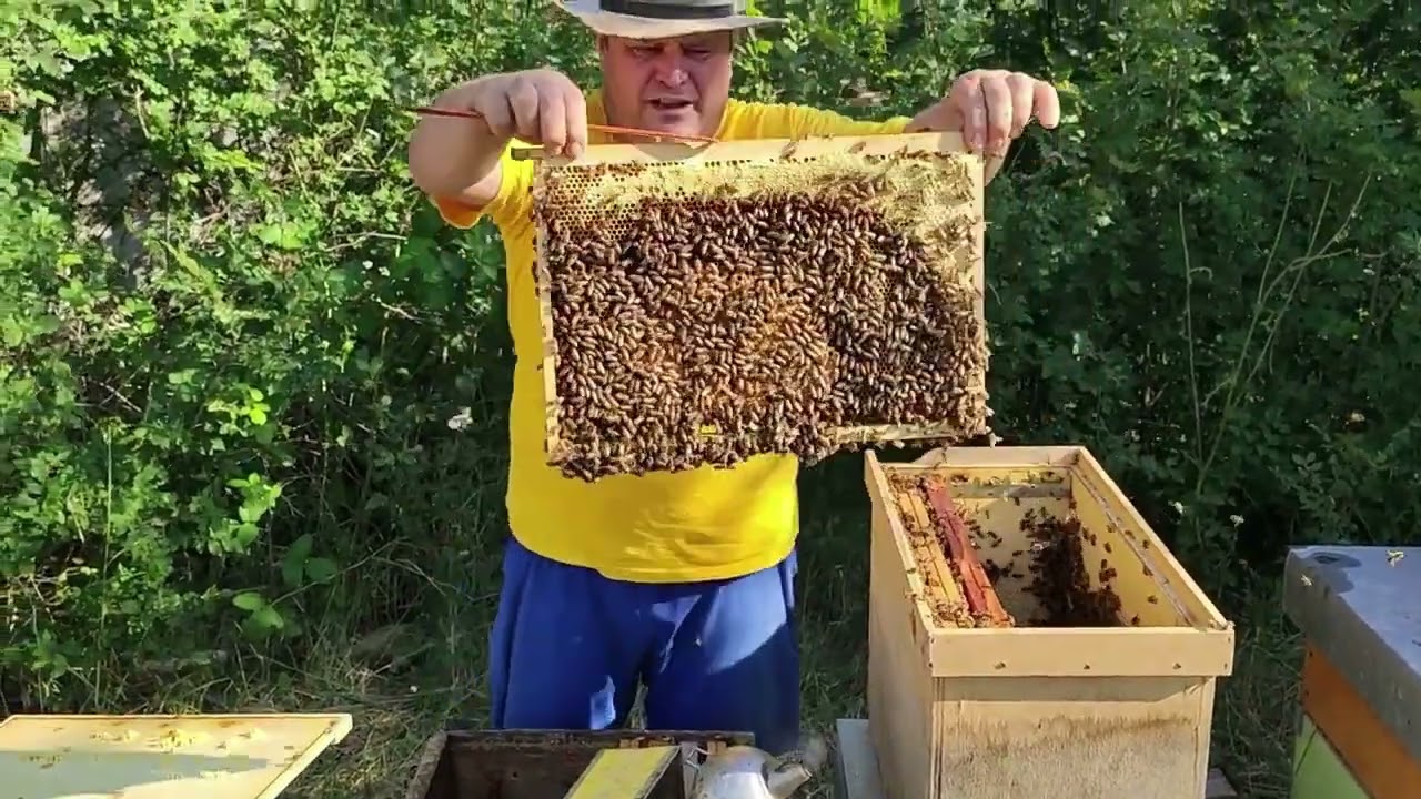 Nucleo dobbiamo allargarlo SUBITO.   PERCHE'????