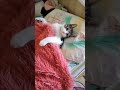 Кайфовать хочу #котики