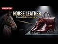Inside the Shell Cordovan Factory – How Million-Dollar Luxury Leather is Made | FactoryPerspective