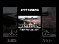 大分でも宮崎の話するやつ #宮崎 #shorts