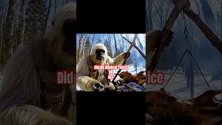 🧑🍳 Yeti cooks deer after it blinks twice… consent? 😂🦌🔥 #Shorts #AIYeti #Funny #CampingFail