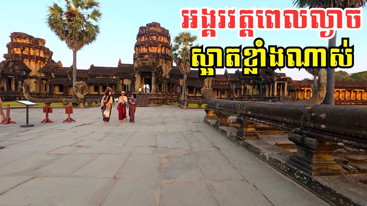 ទេសភាពនៅអង្គរវត្តពេលល្ងាចដ៏ស្រស់ស្អាត | Angkor Wat in the Evening