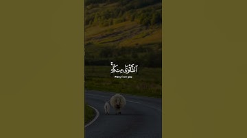 سعد الغامدي سورة الحج Saad Al Ghamidi Surah Al Hajj
