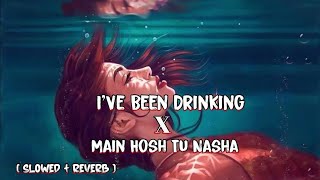 I've been drinking x main hosh tu nasha | ( slowed and reverb ) lofi song | trending song |