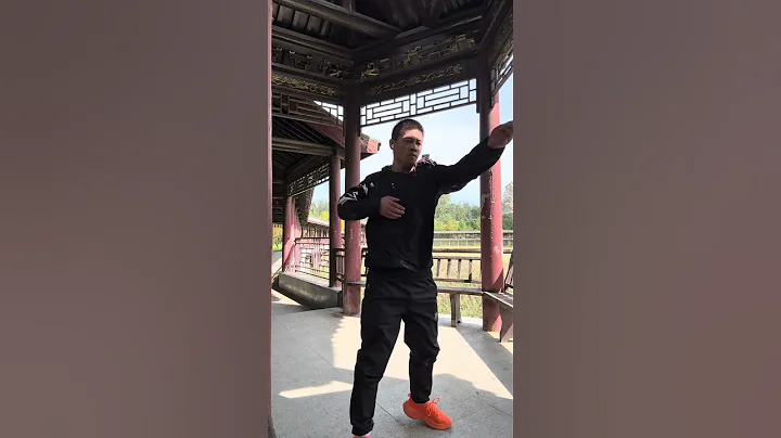 Study well and practice well. #Zhao Honggang Tongbeiquan #Zhao Honggang