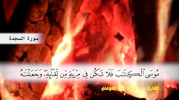 سورة السجدة من ( ايه 11 ) الى نهايه السورة بصوت القارئ د.جهاد المومني