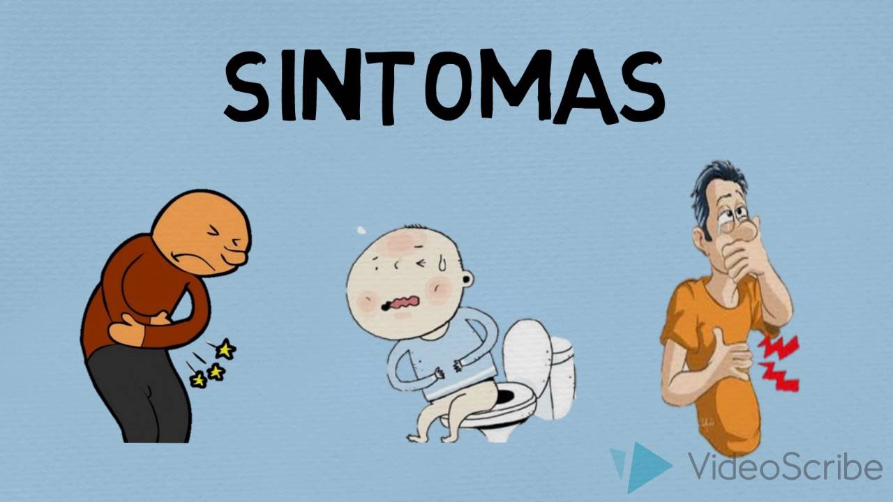 Resultado de imagen para Trichuris trichiura SINTOMATOLOGIA