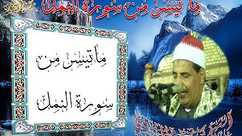 الشيخ محمود سالمان الحلفاوى ما تيسر من سورة النمل((الابداااااااااااااااااااااع))HD