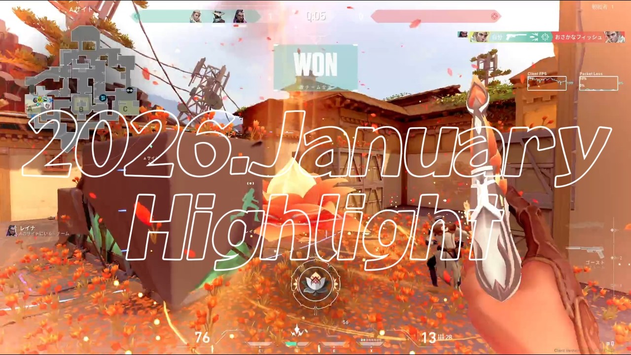 【VALORANT】1月のキル❕