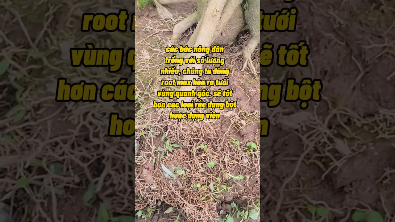 Kích Rễ Cây Trồng 