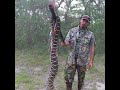 YIKES!!  BIG SNAKE (Catch,Eat)