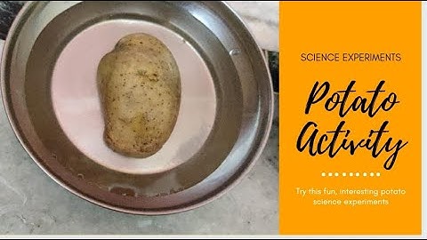 Potato Experiment | Fun Science Experiments | Salt Experiment | Science Experiments for Kids |
