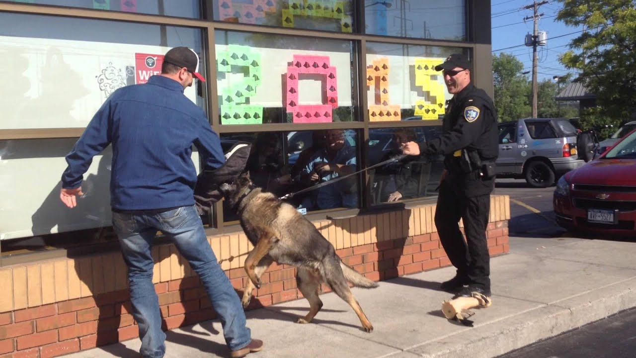 Clay Moden Gets Attacked By A Police Dog - YouTube
