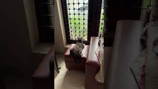 IMG 7089