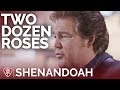 Shenandoah - Two Dozen Roses (Acoustic) // The George Jones Sessions