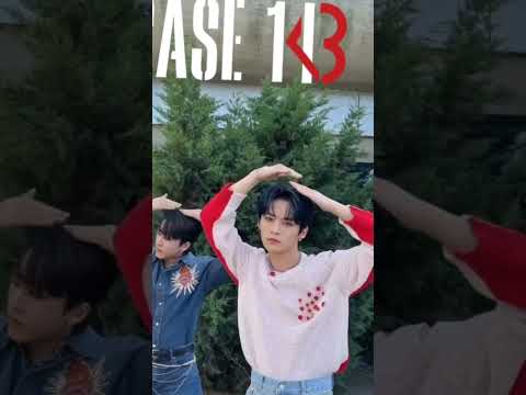 3D Lee Know CASE 143 Leeknow Shorts Fypシ Straykids CHOBIN 