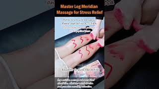 Master Leg Meridian Massage for Stress Relief