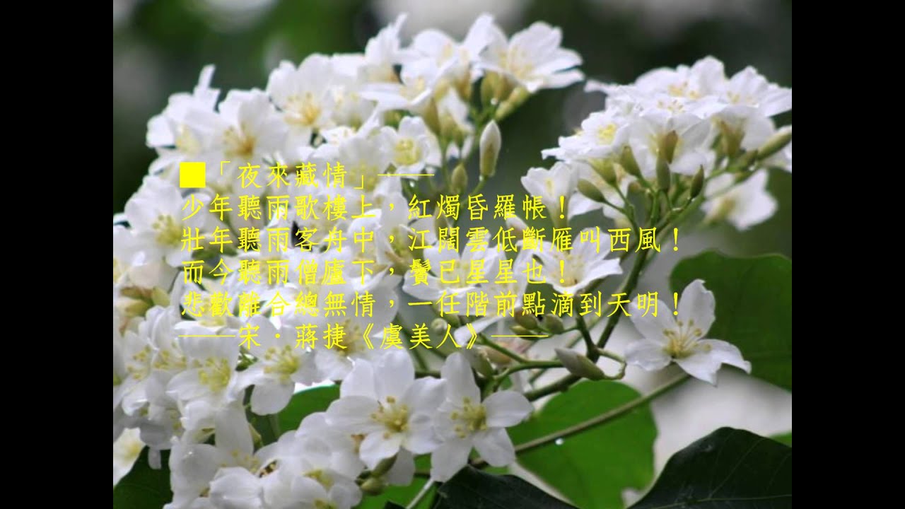 camera iphone 8 plus apk 《淚濕春衫袖 ☆ The Moony Teardrops》