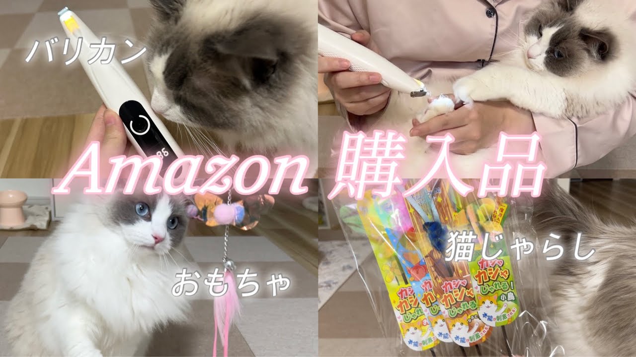 猫用品1式　引き取者確定 藤 あや子 | 2026年2月22日 #猫の日 マルオレチャリティーグッズの収益