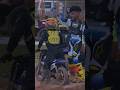 Armageddon | Motocross Race Day Action