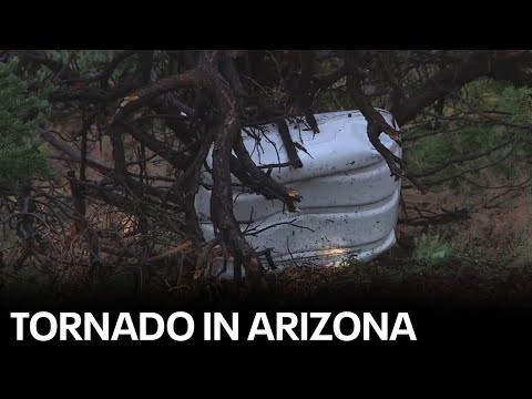 Video: Arizonada tornado bo'ladimi?