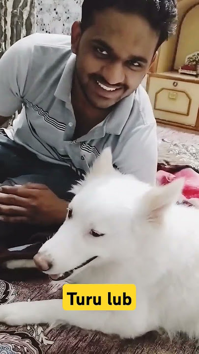 Download lagu oh my god turu lub!!#dog #dogvideo #viral #saggi