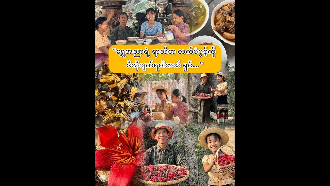 “လက်ပံပွင့်ကို ဒီလိုချက်ရင် ထမင်းတအားမြိန်..”