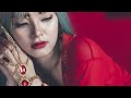 [Lyric video] Là em tự đa tình 是我在做多情种 - Hồ Dương Lâm 胡杨林