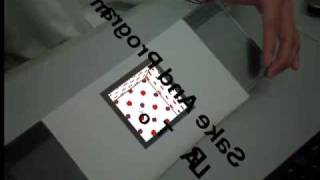 FLARToolkit sample02 (Sake And Program)