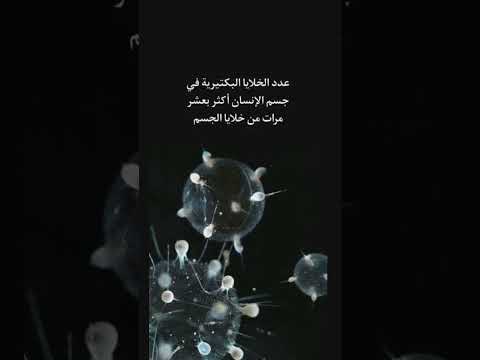 عدد البكتيريا على جسم الانسان