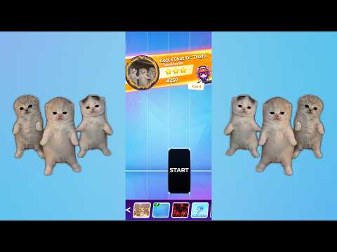 Cat Dancing - Cool (That Or That) | Music Piano 7