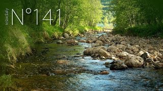 relaxdaily - Finnøya [N°141]