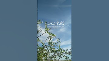 أكتب شئ تؤجر عليه | تلاوة القارئ بلال دربالي 🌿 #quran #استغفر_الله #قرآن