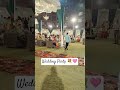 Glimpses of Decoration Of A Wedding Party 😍✨ #GrandCelebration #ShaadiSeason #Trending #YtShorts