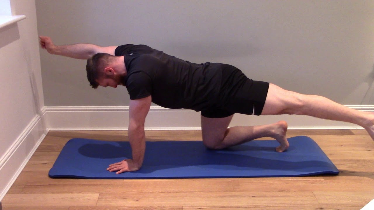 Bird dog exercise for low back pain | Surrey Sports Chiropractor