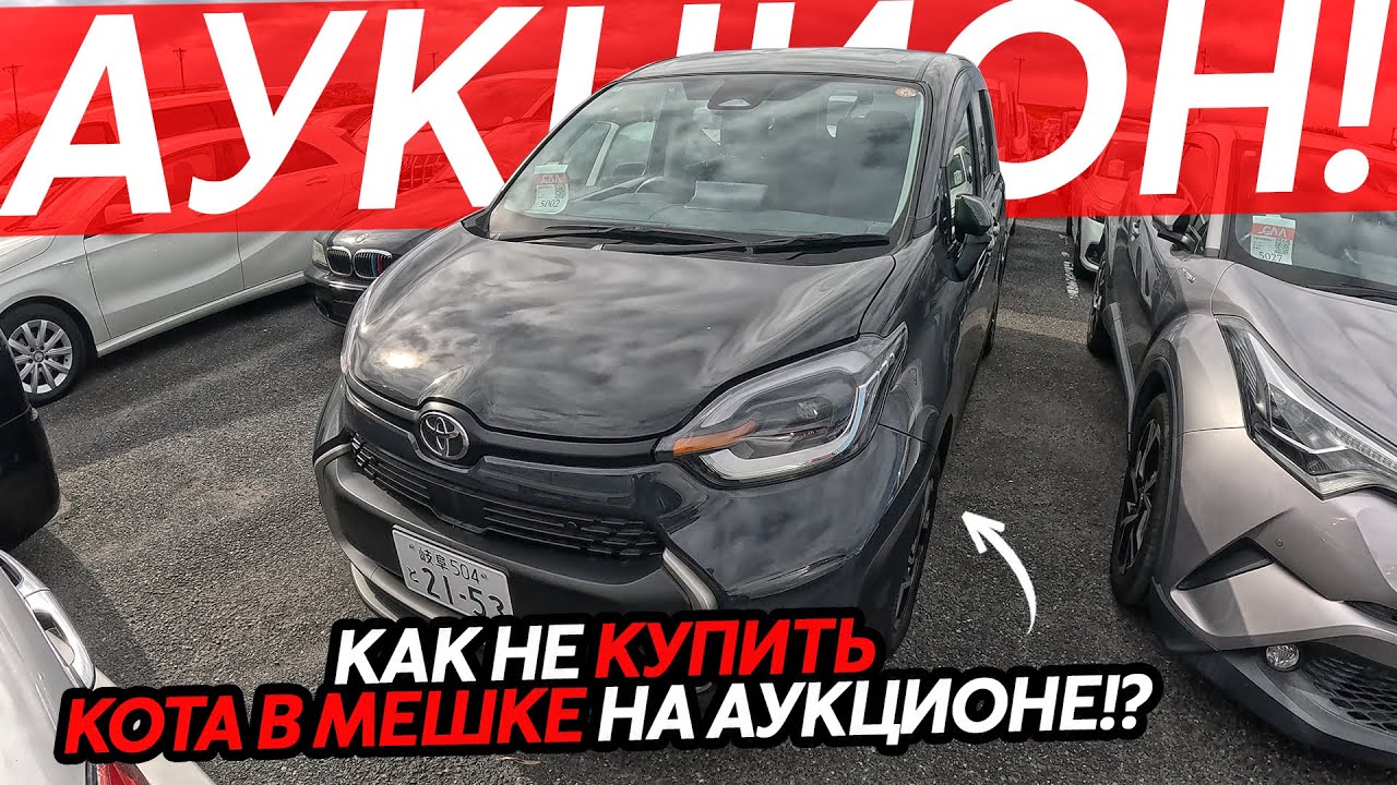 ВСЯ ПРАВДА ОБ ОТМЕТКАХ НА АУКЦИОНАХ⁉️ПРОВЕРКА НАРОДНЫХ АВТО ИЗ ЯПОНИИ🔥КАК НЕ КУПИТЬ КОТА В МЕШКЕ😱