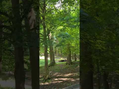 как я отмечала день рождения Александра Сергеевича....)))