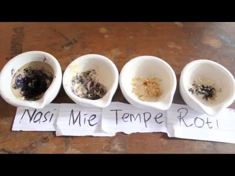 Praktikum Kandungan Karbohidrat