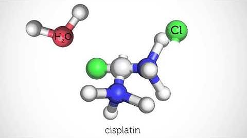 Cisplatin | RMIT University