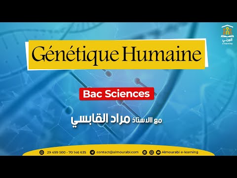 Bac Sciences & Math : Extrait Séance Directe - Exercice de Génétique Humaine (Partie 02)
