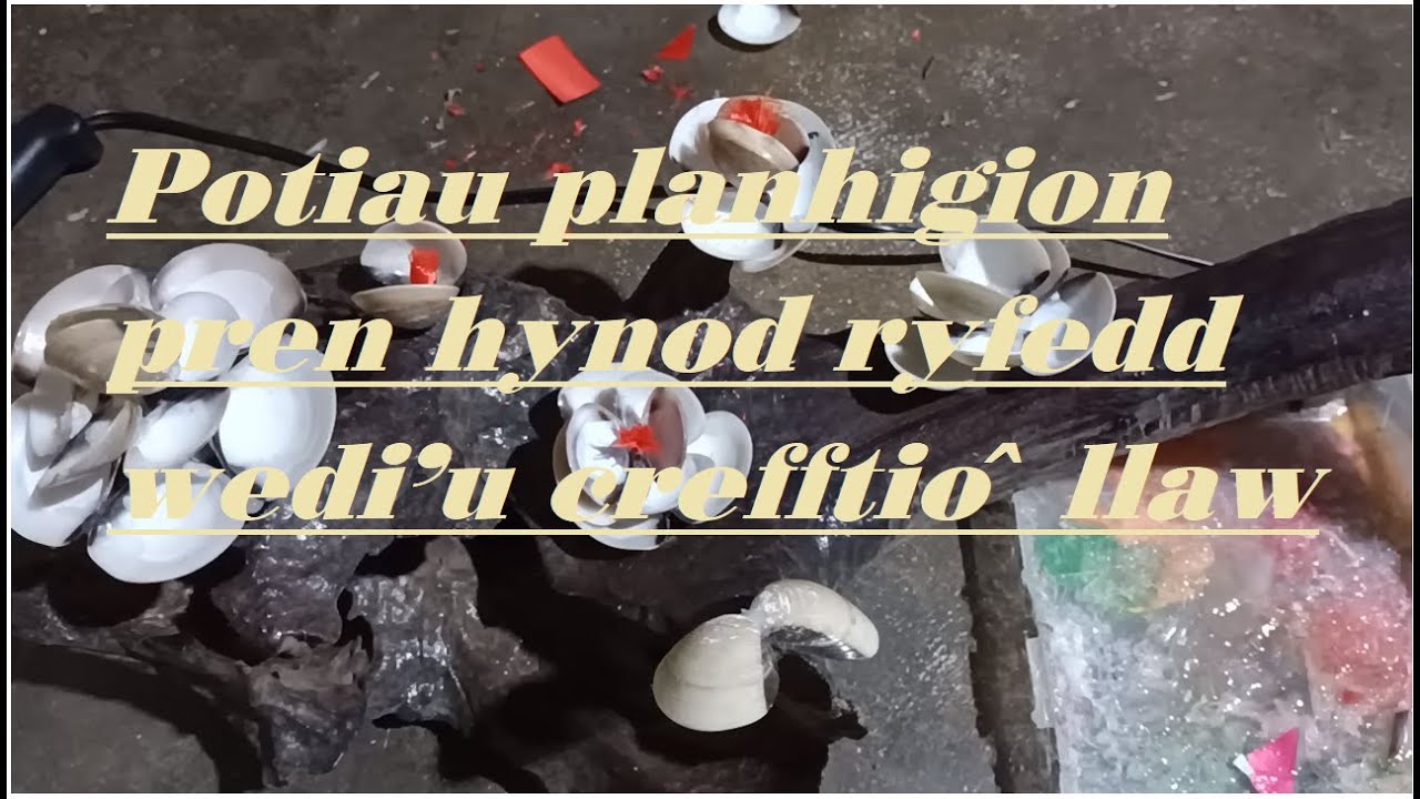 Potiau planhigion pren hynod ryfedd wedi'u crefftio â llaw