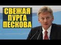 Песков про пластиковые стаканчики и митинги в России и Америке