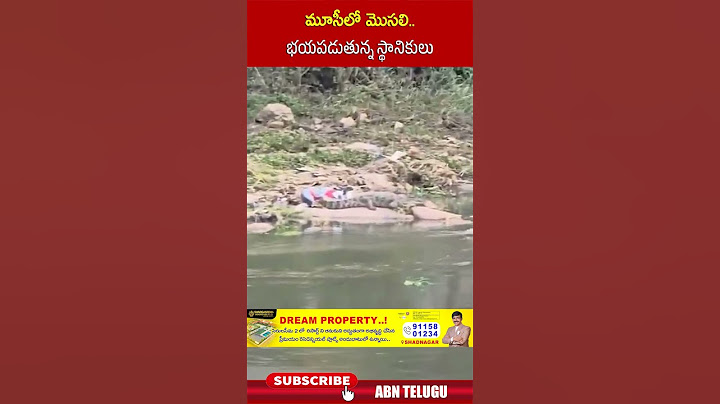 మూసీలో మొసలి ..భయపడుతున్న స్థానికులు | #musi #hyderabadnews #ytshorts | ABN