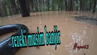 Download Lagu Tahan jaring ikan Musim banjir / hasil 5 jam padu mantap (#eps63) MP3