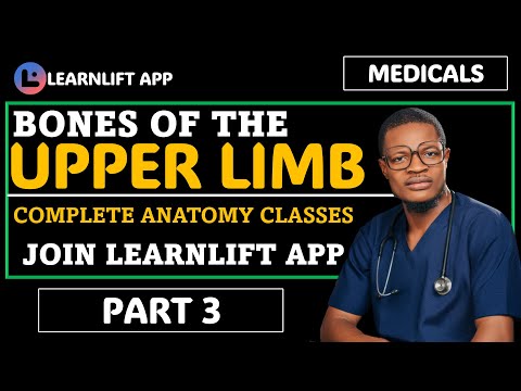 BONES OF UPPER LIMB ANATOMY (PART 3)