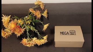 Mega BUZZBox Noiembrie 2022 !!! #BUZZBoxRomania