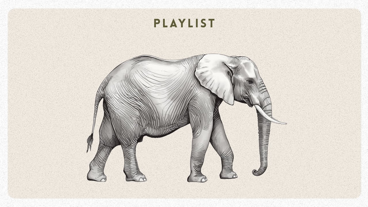 LoFi Study Music ☕ Calm Beats to Focus, Read & Relax | Mello Chillhop Mix for Study & Work