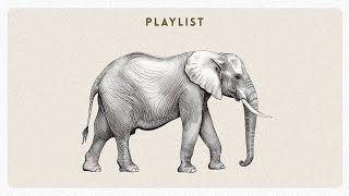 LoFi Study Music ☕ Calm Beats to Focus, Read & Relax | Mello Chillhop Mix for Study & Work